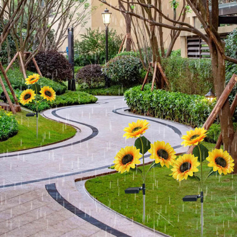 Verlicht uw tuin met zonnige zonnebloemen 