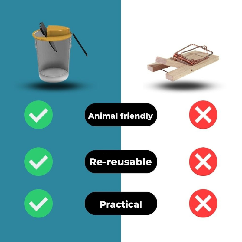 Trampa para roedores sin crueldad 