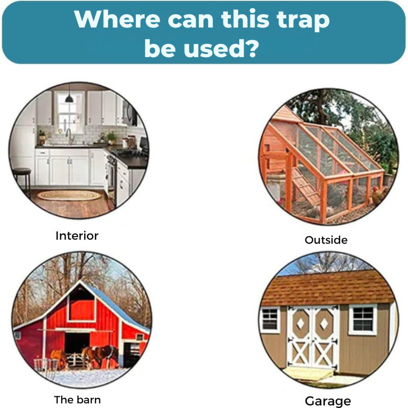 Trampa para roedores sin crueldad 