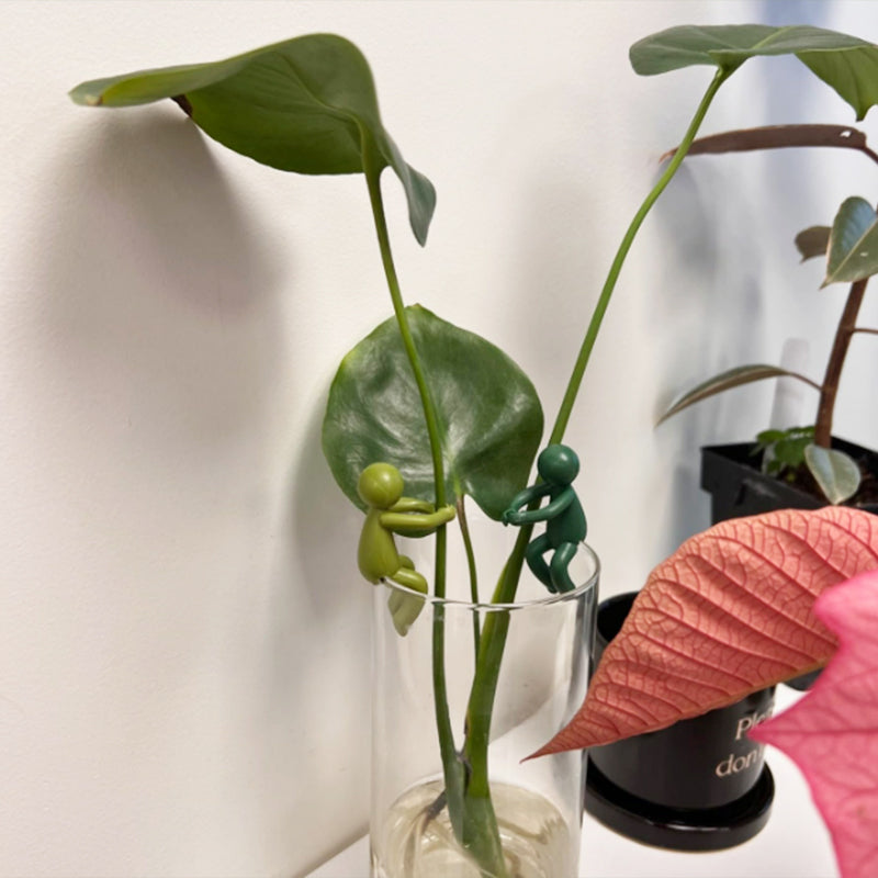 תמיכה לקיצוצים דקורטיביים וגמישים לצמחים (x3) 