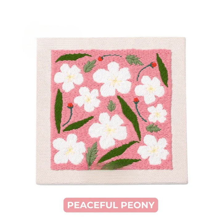 Kit de broderie cu ac punch 