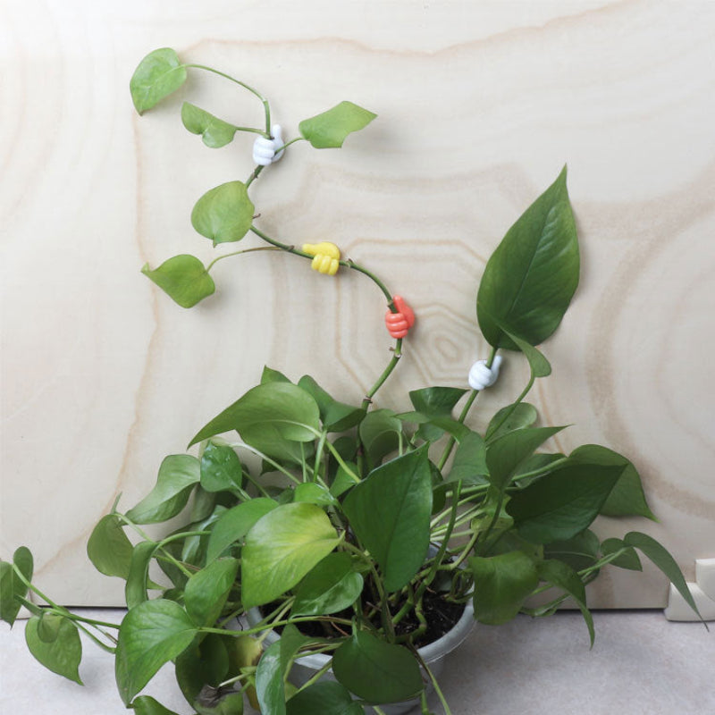 Ganchos inteligentes para cables, cepillos, auriculares y más (x10) 