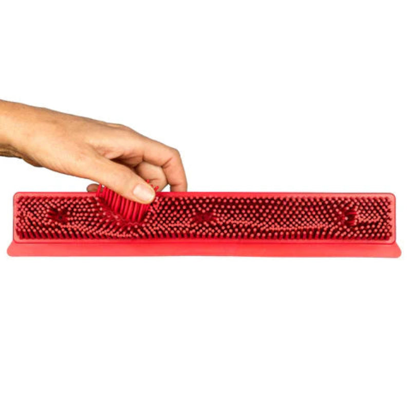 Távolítsa el az állatszőrt egyetlen lépésben 