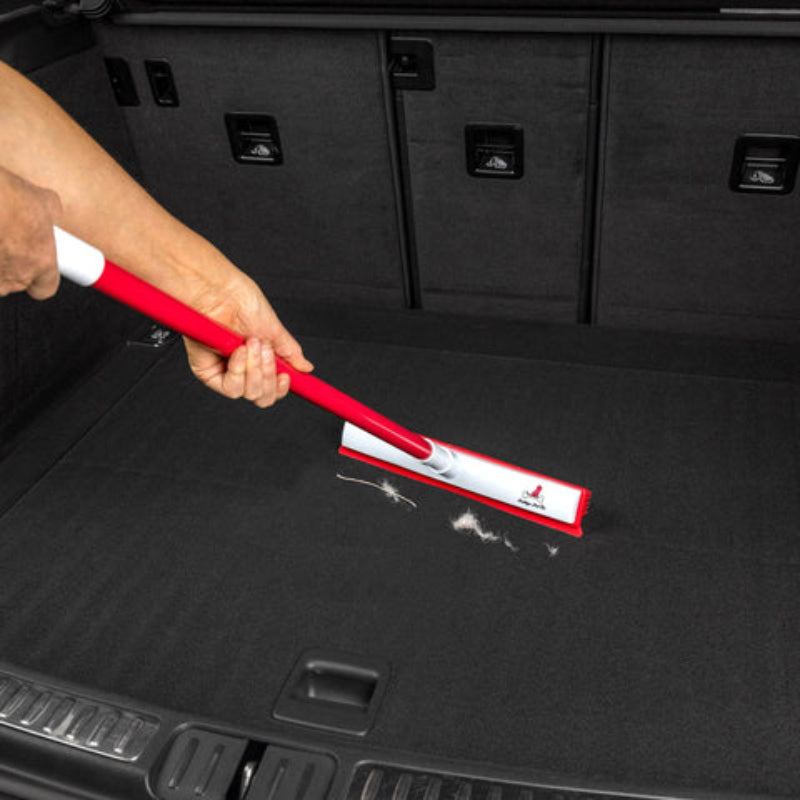 Távolítsa el az állatszőrt egyetlen lépésben 